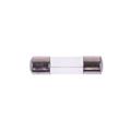 GMA Glass Fuse, 3 Amp, 250 Volt, 100 Pack