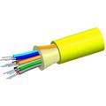 TeraSpeed Riser Dist. Cable, 12 fiber Single-unit
