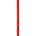 VECTOR Rope, NFPA, 12.5mm x 61m (200ft), Red