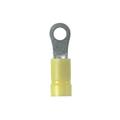 Ring Terminal, 12 – 10 AWG, 1/4" stud size