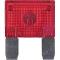 Plastic Maxi-ATC Fuse in Red, 50 A, 32 V, 10 Pack