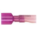 Male Heat Shrink Quickslide in Red, #22 - 18 AWG, .250 Tab, 100 Pack