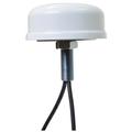 2.4-2.5/4.9-6.0GHz 4dBi MIMO Omni Antenna, 2 Cable
