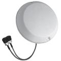 698 - 2700 MHz Low PIM 2 Port MIMO Omni Ceiling Mount Antenna with 4.3-10 Female