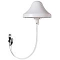 Cell-Max Low PIM Omni MIMO 2x2 In-building Antenna, V-POL and H-POL, N Female