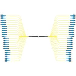 75 Meter Single Mode 48-Fiber with LC to LC