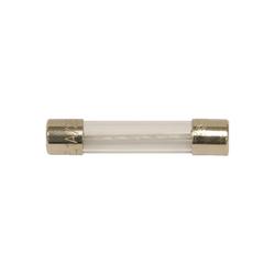 Fuse, 1A, 3AG, SLO-BLO, F5, F6