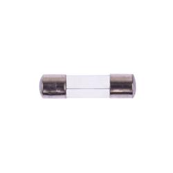 Fuse, GMA-10  Amp/ 100pack